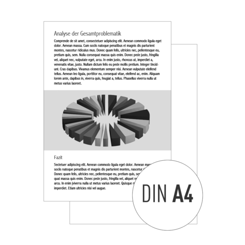 Ausdruck DIN A4, EINSEITIG, schwarzweiß auf hochwertigem 80g/m² Papier