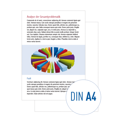 Ausdruck DIN A4, EINSEITIG, farbig auf hochwertigem 80g/m² Papier